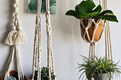 Mastering Macramé: A Beginner’s Guide to Knotted Plant Hangers